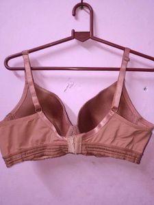 New Lace Detail Everyday Bra