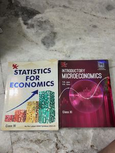 Class XI Economics Books