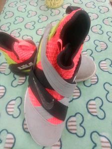 Authentic  nike Shoes  lebron jems - Stylish