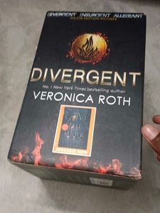 The Divergent Series