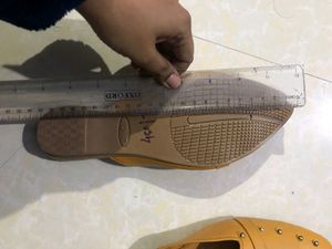 Pump Shoe