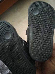 Us Polo Black  Sneaker Next To New