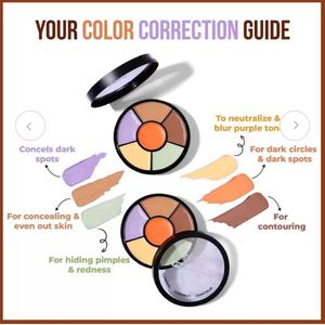 Insight Pro Concealer Palette