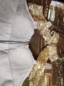 Designer Lehenga Skirt And Blouse