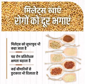 1 Kg Pure Organic Rajgira Seeds Amaranth