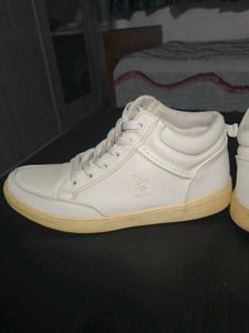 US POLO white Sneakers