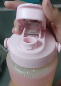 Gradient Water Bottle