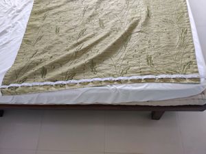 Window Curtain