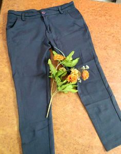 Dark Grey Casual/Formal Pants