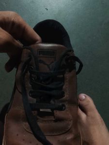 Stylish Casual Shoes