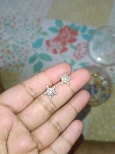Women Ad No Tarnish Earrings