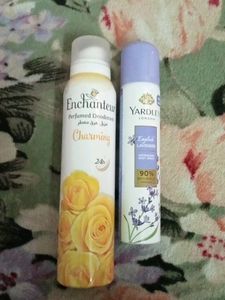 Enchanteur Sent Only