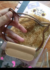 Transparent Handbags