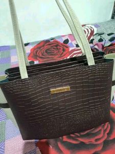 🔥 Carrylux  brand new lethargy bag 🛍️