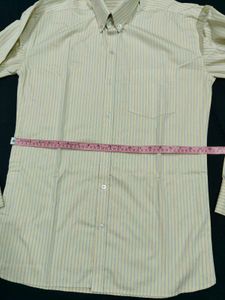 Light Yellow Formal Button Down Shirt