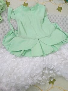 Western Net Gown