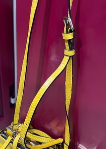 It’s Fanky Yellow Bag