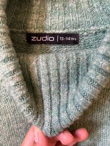 Zudio High Neck Jumper