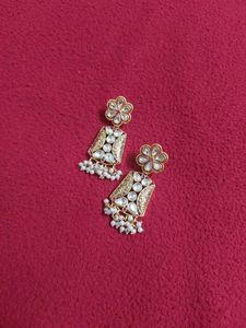 Earrings ✨