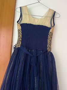 Blue Sleeveless Gown