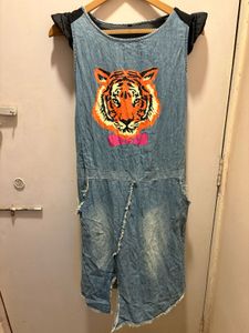 Beautiful Trendy Denim Dress