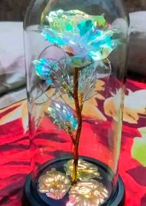 Artificial Colourful Preserved Rose In Glass Dome