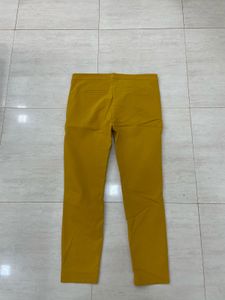 🌟 FOREVER NEW: THE GOLDEN HOUR TROUSERS 💛