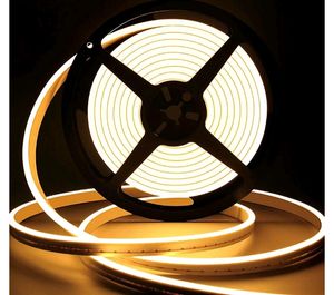 Neon Led Warm White Colour 1mtr
