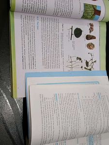 NCERT Class11 Phy Chem Math Bio Eng Book