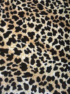 Animal Print Long Sleeve Top