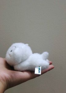 shinchan&#39;s puppy shiro