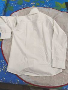 Mens Shirt- Regular Fit-36 Cm