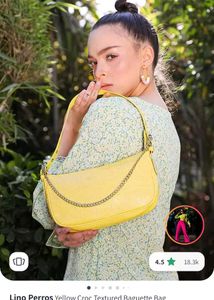 Lion Perros Baguette/Hand Bag