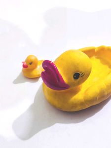 Rubber Ducky Set