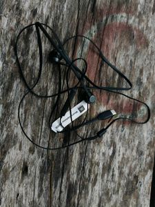 JBL Wired Headphones