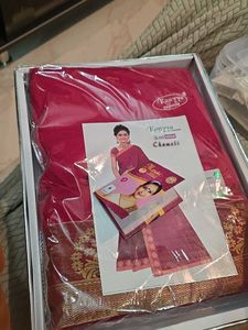 Magenta saree With bindi pattaa