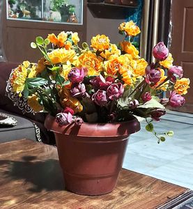 Flowers with Pot