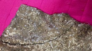 Golden Sequin Work Blouse