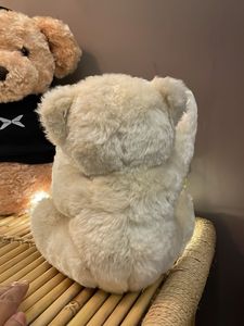 Cute Stuffed Teddy Bear