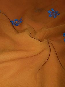 Orange Embroidered sarree