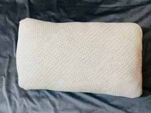 Imported 100% Cotton Anti Allergy Pillow
