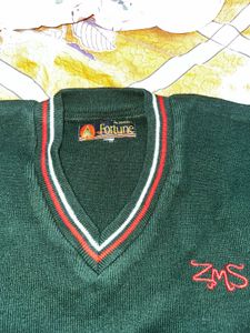 Green V-Neck Sweater