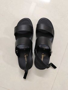 Elegant Black Daily wear Wedge Heels