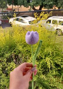 Crochet Tulip