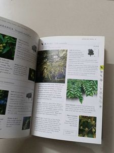 Trees of Delhi: A Field Guide