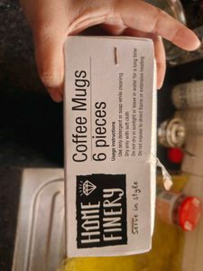 Set of 6 Bio China Cups