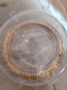 Graceful Gold Bangle Set