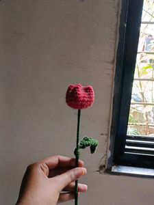 Tulip 🌷