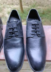 Size 7 Combo Formal Shoes