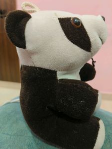 Cute panda